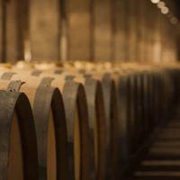Presentaron proyecto de ley en Mendoza para crear Banco de Vinos
