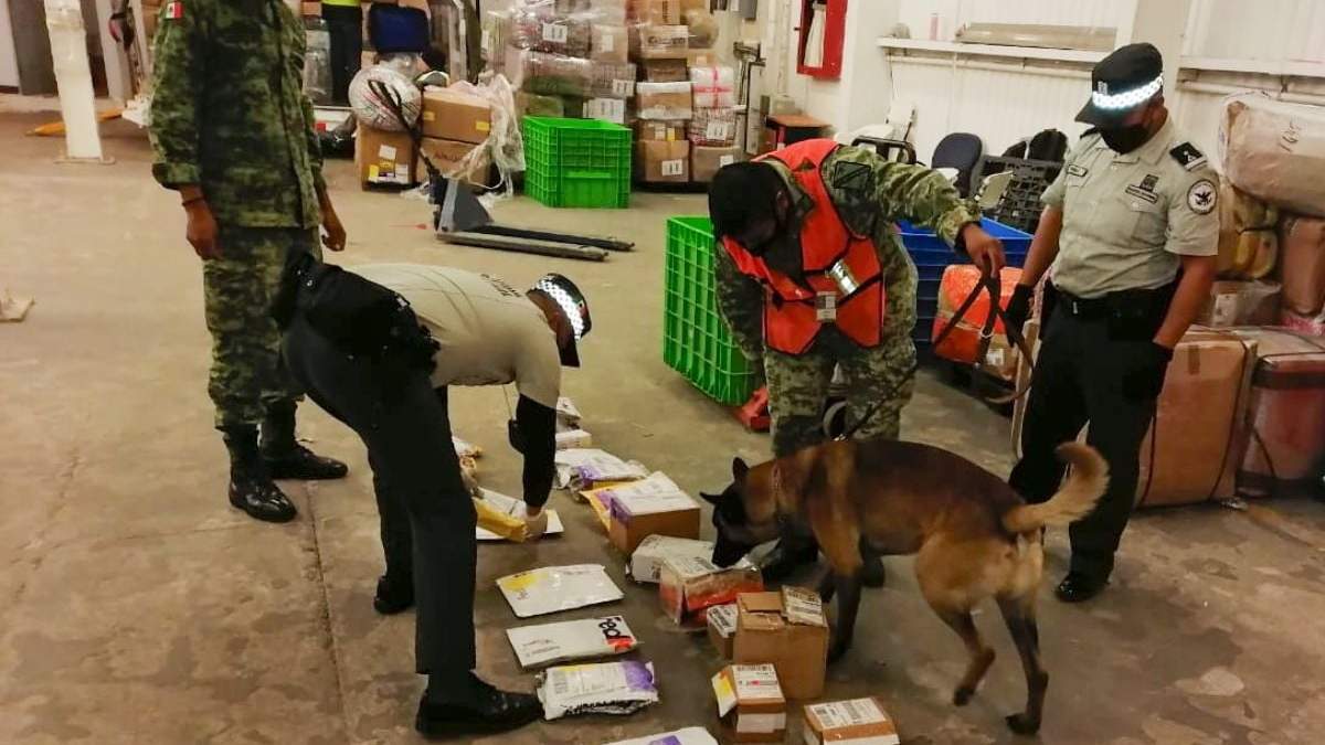 Revisión de paquetes con un binomio canino
