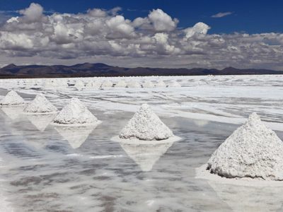Diciembre, el mes del litio: se pondrá en marcha la producción de celdas para baterías