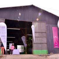 Zapala disfrutó de su típica feria de emprendimientos