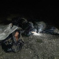 Hallan tres cuerpos mutilados y embolsados en Veracruz