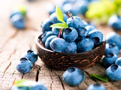 Tableta de chocolate y arándanos: mirá lo fácil que es prepararla para una merienda rica y baja en calorías