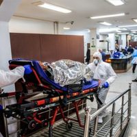 Aumentó a 186 el número de muertos por coronavirus y los casos confirmados batieron otro récord