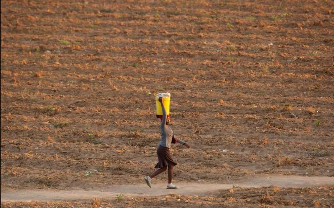 ARCHIVO - Una mujer camina por una senda en un campo en Zvimba, en una zona rural de Zimbabue, el 26 de junio de 2021. Las mujeres que gestionan explotaciones agrarias y hogares rurales en países pobres sufren más por el cambio climático y se ven discriminadas cuando intentan adaptarse a otras fuentes de ingresos en épocas de crisis