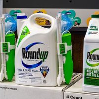 Bayer pierde demanda en un juicio por producto de Monsanto que causó cáncer a una pareja