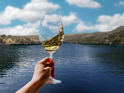 Propuesta de enoturismo navegando por el río Miño en España
