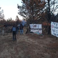 El motivo por el cual habrían asesinado al joven mapuche en Cuesta del Ternero