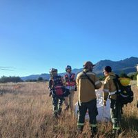 Fuego superficial en el Parque Nacional Lanín obligó a un amplio despliegue terrestre y aéreo