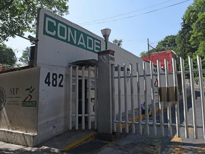 Entrenadores deportivos: el abuso tiene permiso