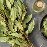 La planta que crece en muchos jardines y que tiene muchos beneficios para tu vida