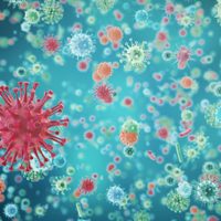 Río Negro todavía no registra nuevas cepas de coronavirus