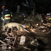 Tragedia en Ecuador: un terrible alud dejó varios muertos en Quito