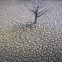 El 2023 fue el año más caluroso en la historia del planeta