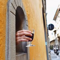 Ventanas de vino: encuentro virtual sobre esta costumbre que volvió con la pandemia