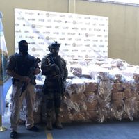 Casi tres toneladas de mariguana con valor de 14 mdp es asegurada en Zuazua, NL