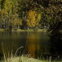 Clima en Neuquén: el sábado llegará sin inestabilidad aunque un poco más fresco