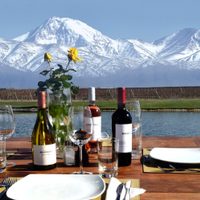 El Valle de Uco fue catalogado como el Napa Valley argentino