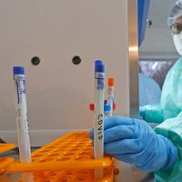 Coronavirus: la variante Manaos podría estar en el Alto Valle