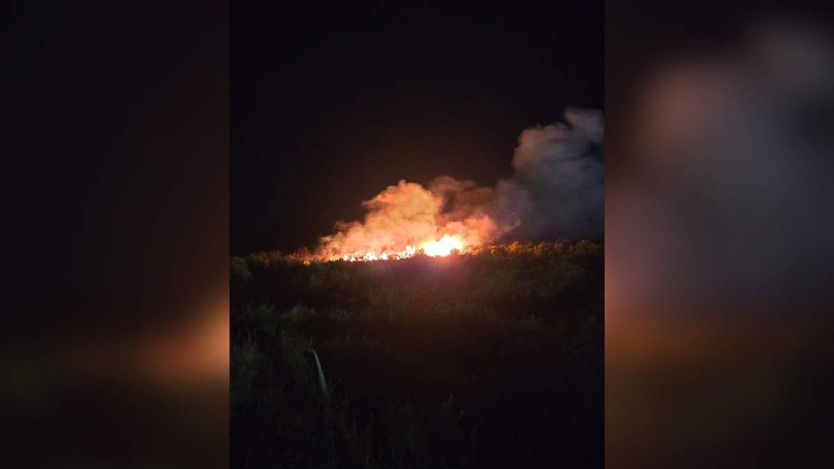 El incendio persistió hasta la noche. Fuente: (Jesús Chandía)