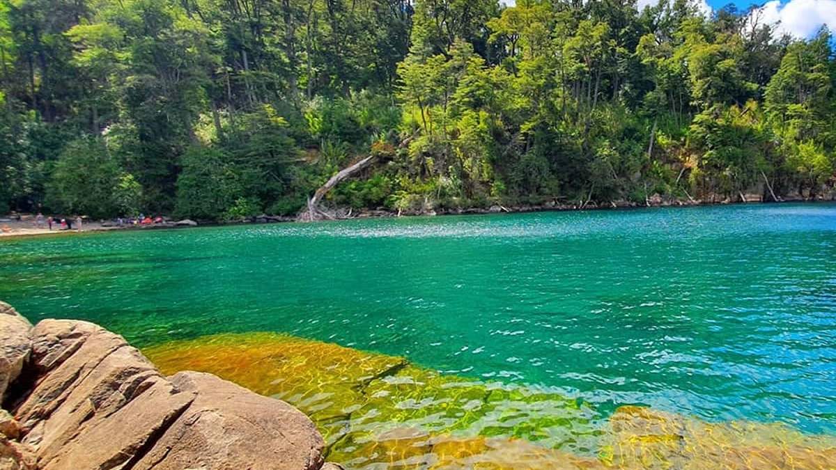 Yuco. Fuente: (InterPatagonia)