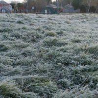 Ola de frío en Neuquén: la mañana del domingo será extremadamente helada