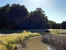 Canal Bejarano. Fuente: (Twitter)
