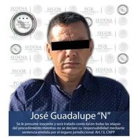 Cae presunto responsable de la desaparición de tres italianos en Jalisco (Video)