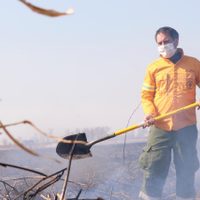 Un ministro se sumó a los trabajos por el incendio en el delta del Paraná