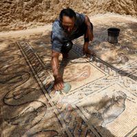 Plantaba olivos en Gaza y descubrió un mosaico bizantino de hace 1.500 años