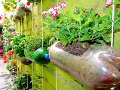 Dale vida a las plantas usando botellas de plástico y unas ramas pequeñas: muy fácil y original