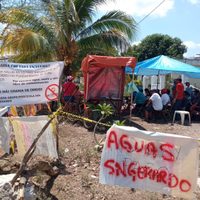 De la porcicultura a la minería: El informe de la devastación ambiental que recibió la ONU en Mérida