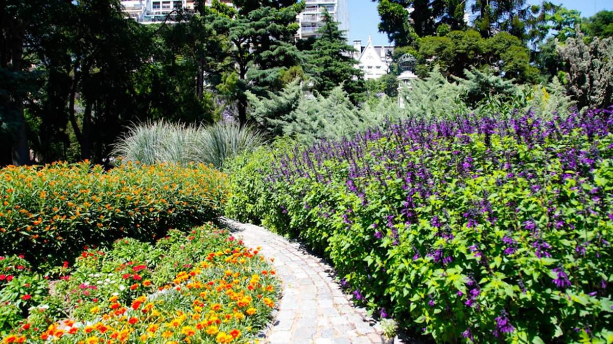Plantas. Fuente: (Twitter)