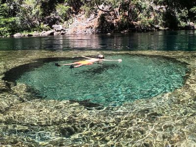 Patagonia escondida: el destino de aguas cristalinas y bosques densos, ideal para desconectar