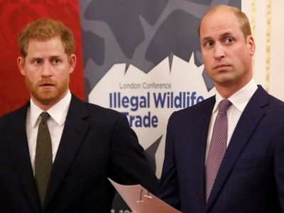 "El Príncipe William y Harry están muy molestos": el secreto de Netflix que los angustia