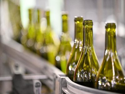 No tires las botellas de vino blanco: así de fácil las podés transformar en macetas para tus plantas de agua
