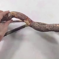 No tires esa ramita seca ni frascos de vidrio: convertilos en un colgante para plantas que enamora