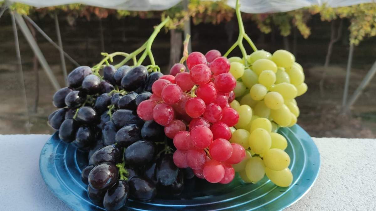 Uvas. Fuente: (Instagram)