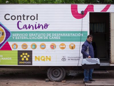 Los quirófanos móviles se trasladan a nuevos barrios para ofrecer castraciones gratuitas para mascotas