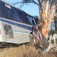 Tragedia en Querétaro: Mueren nueve personas por choque de autobús contra un árbol