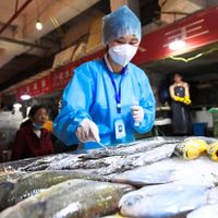 El coronavirus presente en los envases congelados puede contagiar: estudio