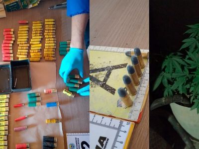 Cayó una banda que faenaba caballos, robaba autos y vendía drogas en Neuquén