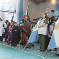 Polémica por promesas a la bandera mapuche: el INAI cuestionó y comunidades invocaron leyes vigentes