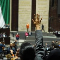 El medio ambiente se marchita en el presupuesto de la 4T
