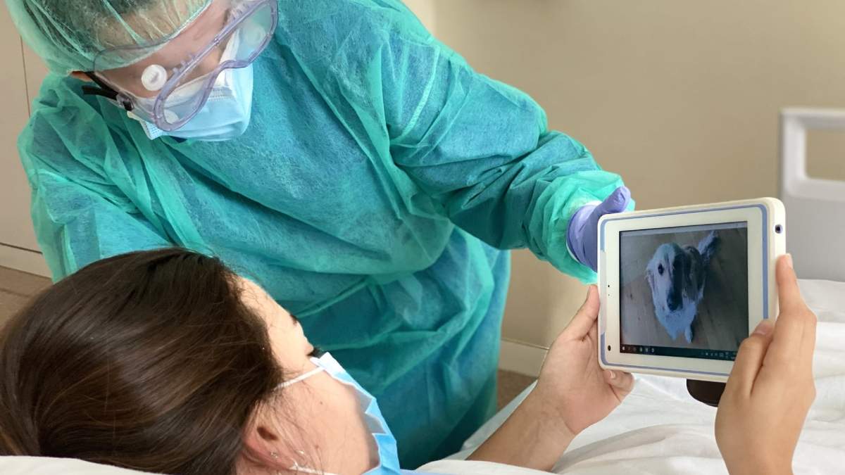 Bariloche tiene 6 pacientes con el virus activo. Fuente: (Twitter)