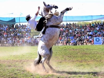 Se viene la Fiesta Nacional del Puestero en Junín de los Andes: fechas y actividades