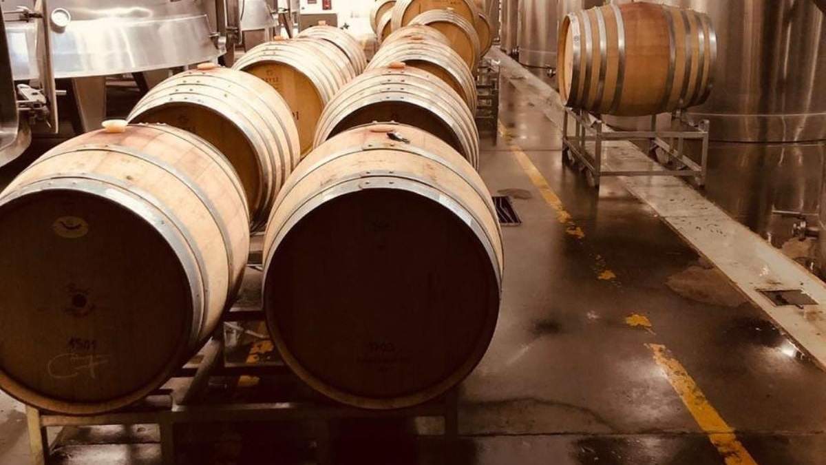 Taller virtual de degustación. Fuente, (Instagram)