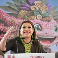 Brugada anuncia intervención de 90 avenidas para el “Arte Verde del Mundial”