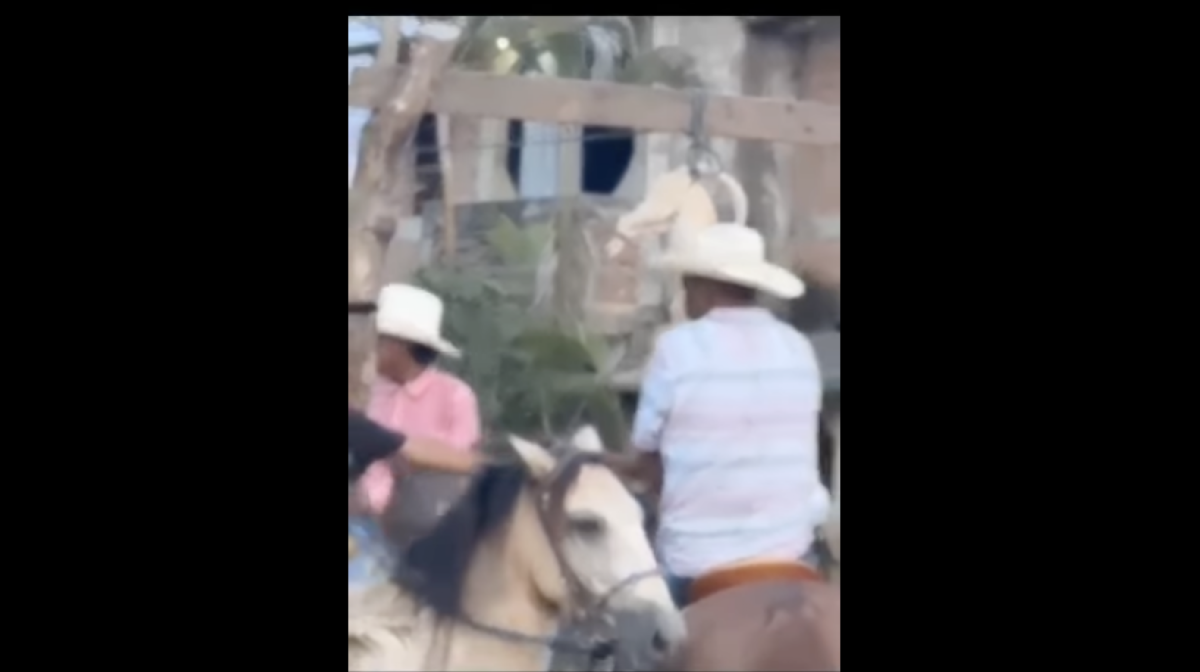Escena del video compartido en redes sociales