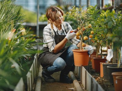 Protegé tu jardín en otoño con una planta que seguro tenés en casa: efectiva contra las plagas
