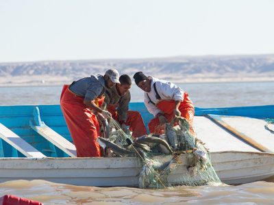 EU no sancionará a México por la falta de combate a la pesca ilegal